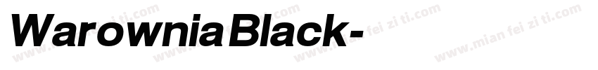 Warownia Black字体转换